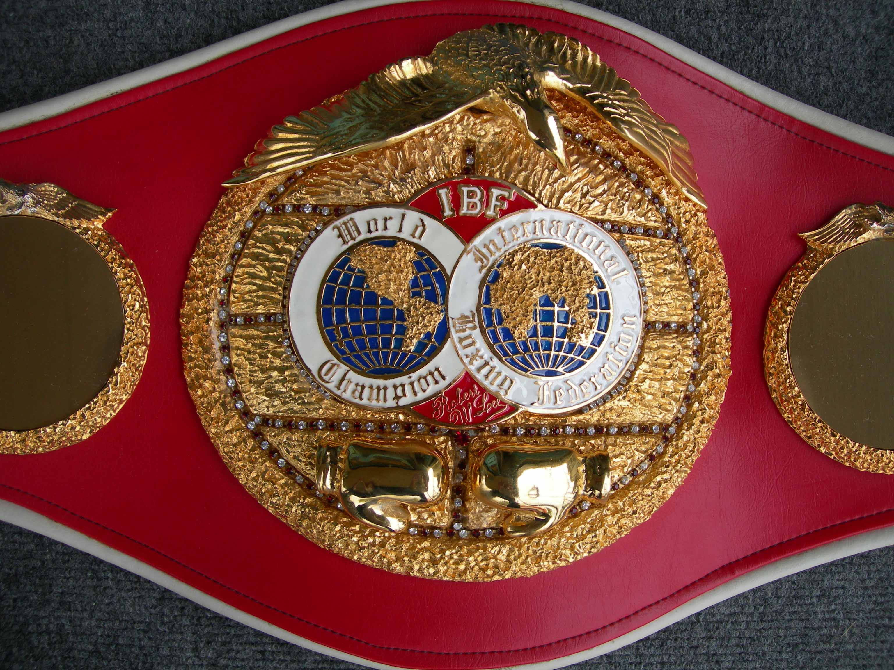 Light Heavyweight Championship - Ring News 24 Boxing News